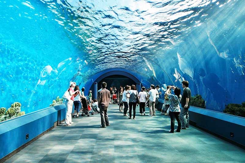 thuy-cung-underwater-world-pattaya