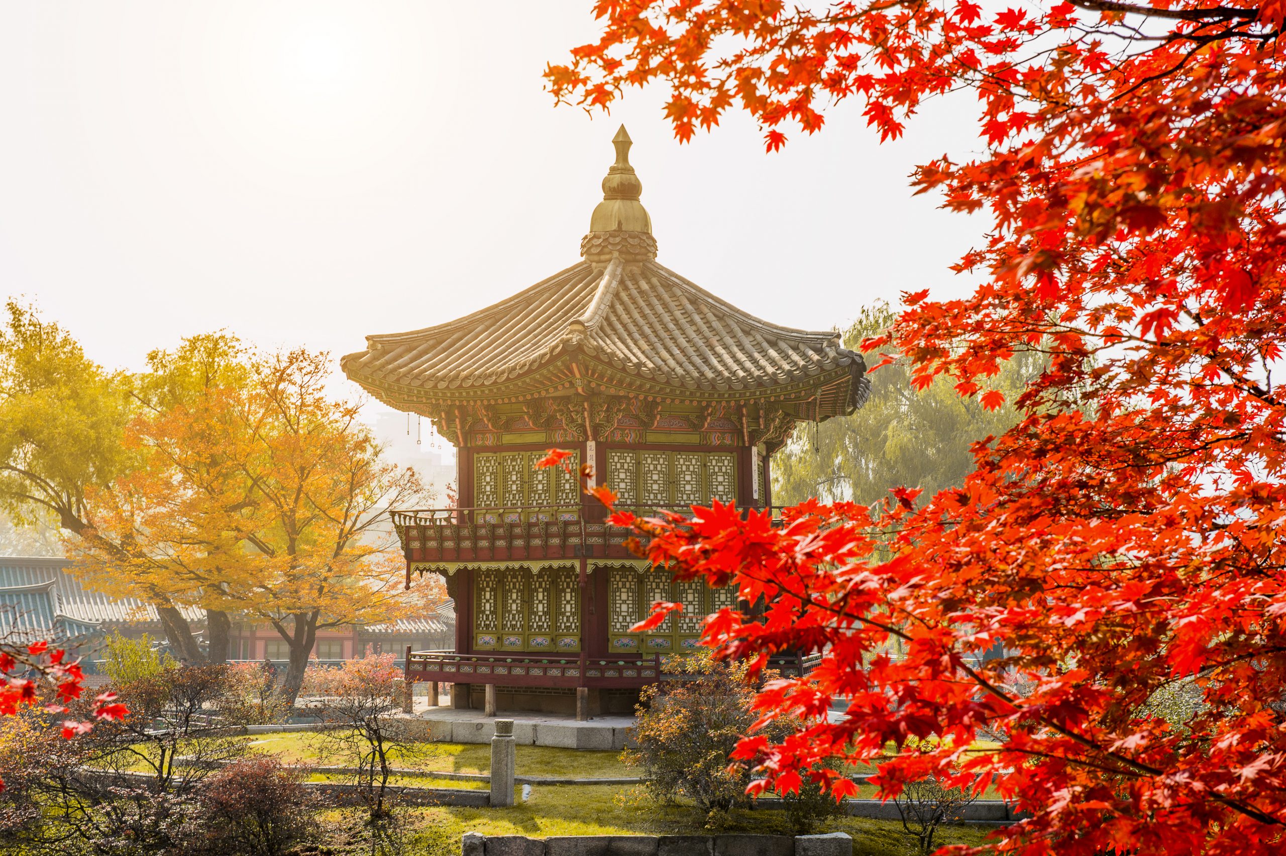Autumn in Gyeongbokgung Palace, Seoul in South Korea.