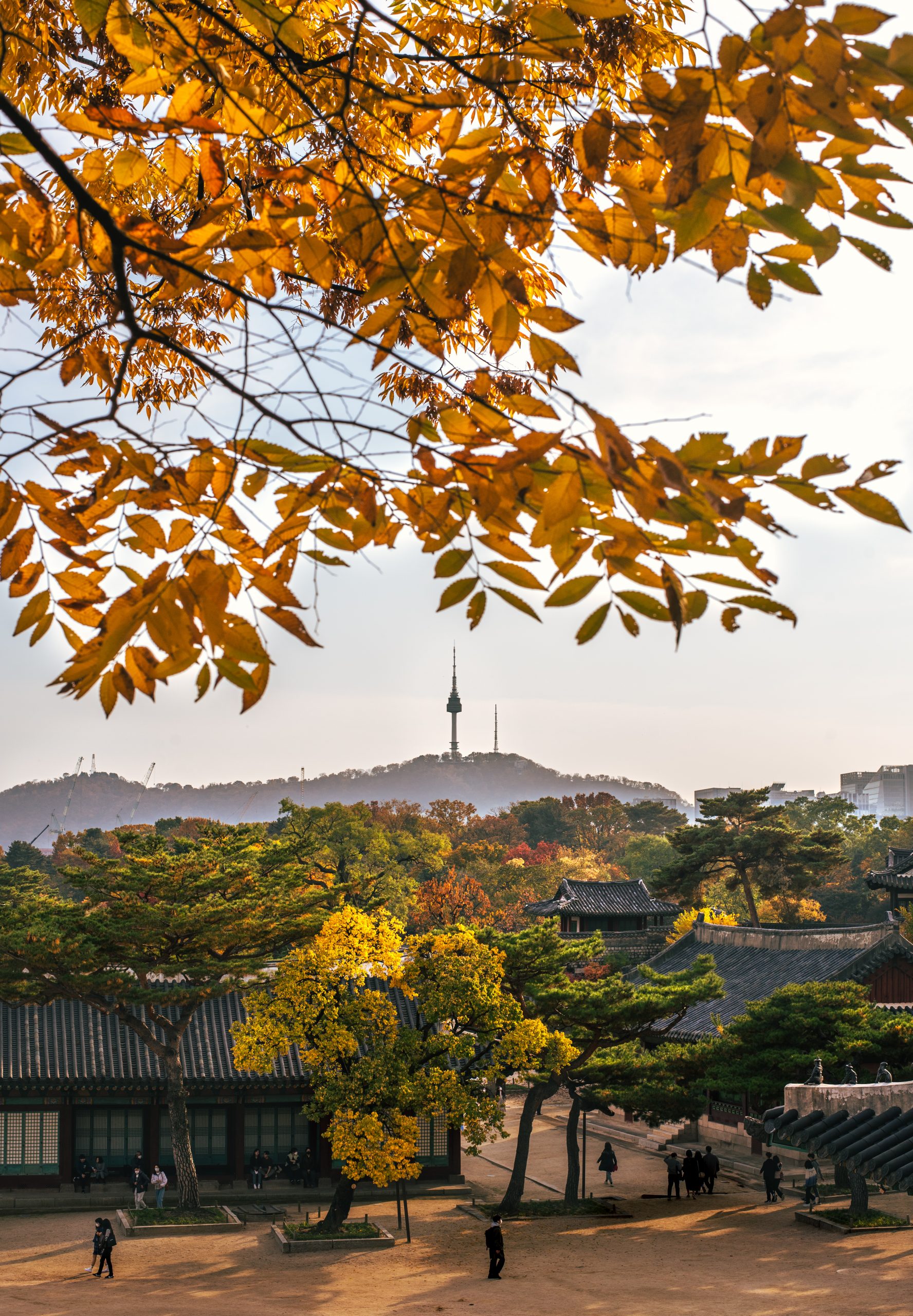Namsan tower and Changkyung-gung with autumn leaves on tree branches foreground in Seoul, Korea